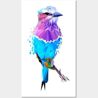 Bird Posters and Art